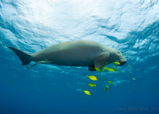 Wadi Lahami septembre 2021